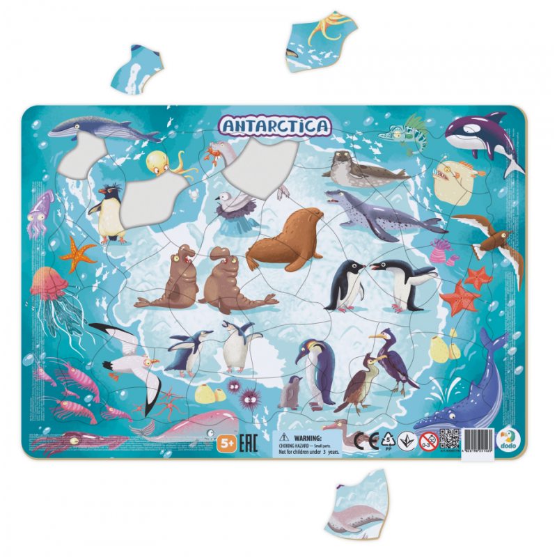 dodo puzzle ramkowe 53el antarktyda 300176 tm toys