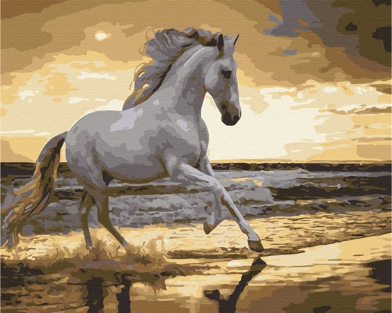malowanie po numerach paint it! bs30903 koń na wybrzeżu 40x50 cm