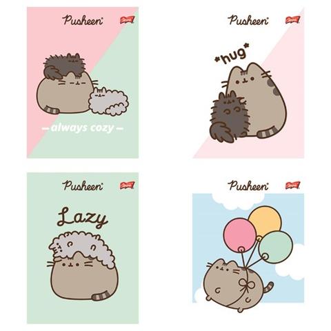 majewski zeszyt 32k = dwukolorowa laminowany pusheen 70g/m2 /15/