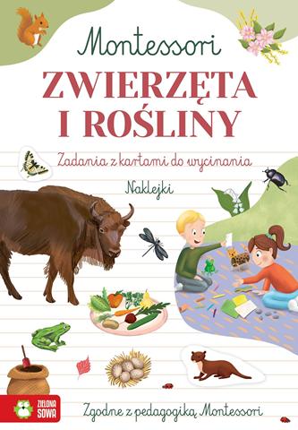 ZIELONA SOWA KSIĄŻECZKA MONTESSORI ZWIERZĘTA I ROŚLINY
