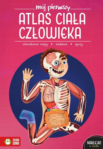 ZIELONA SOWA KSIĄŻECZKA MÓJ PIERWSZY ATLAS CIAŁO CZŁOWIEKA