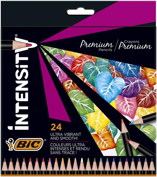 bic-kredki intensity wood 24 kolory /6/