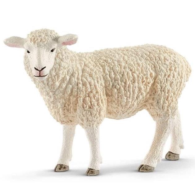 schleich owca 13882