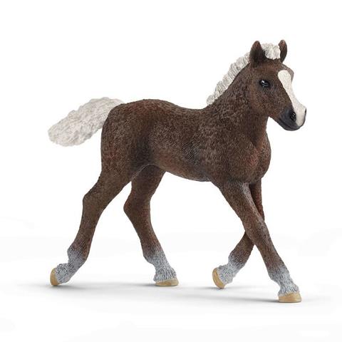 SCHLEICH KOŃ SZWEDZKI ŹREBIĘ 13899      TM TOYS