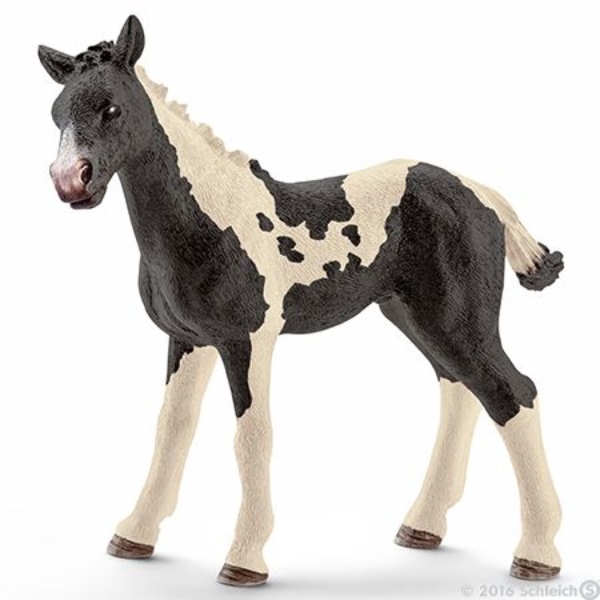 schleich źrebak łaciaty 13803           tm toys