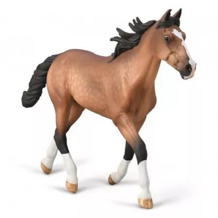 COLLECTA OGIER STANDARDBRED MAŚCI GNIADEJ 80004 DANTE
