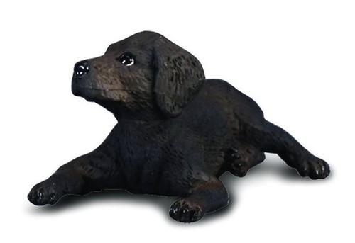 PIES LABRADOR SZCZENIAK 88077 COLLECTA