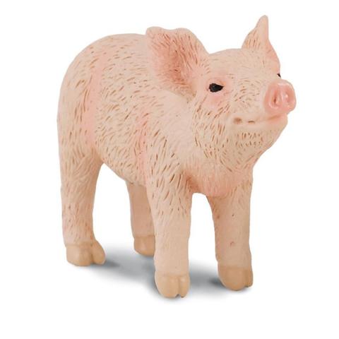 PROSIĘ 88344 COLLECTA