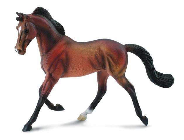 KLACZ THOROUGHBRED MAŚCI BAY 88477 COLLECTA