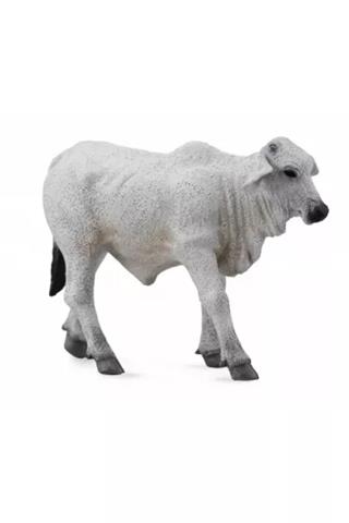 CIELĘ BRAHMAN 88581 COLLECTA