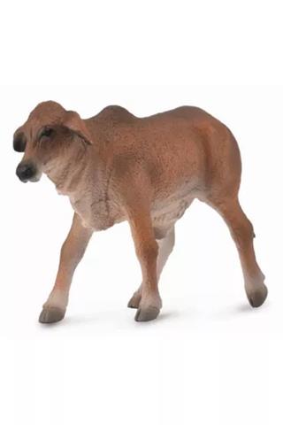 CIELĘ CZERWONE BRAHMAN 88601 COLLECTA