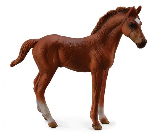 ŹREBIĘ THOROUGHBRED 88671 COLLECTA