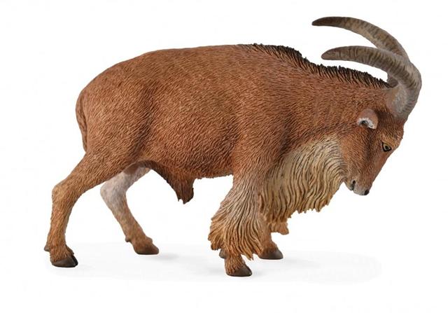 OWCA GRZYWIASTA 88683 COLLECTA
