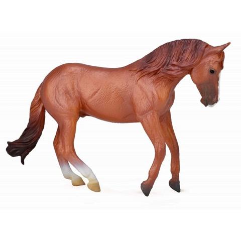 OGIER KLACZY AUSTRALIAN STOCK ORSE 88712 COLLECTA