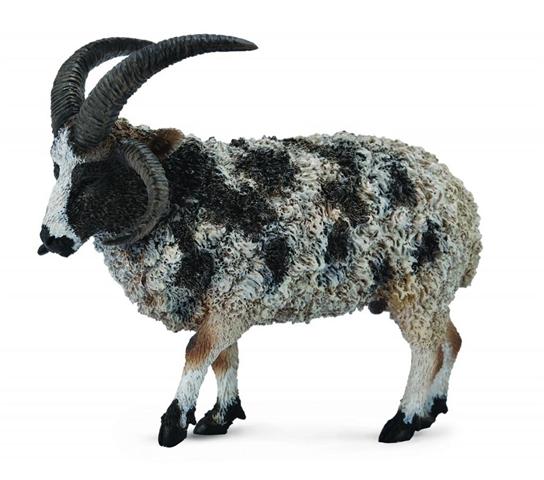 OWCA WIELOROGA 88728 COLLECTA