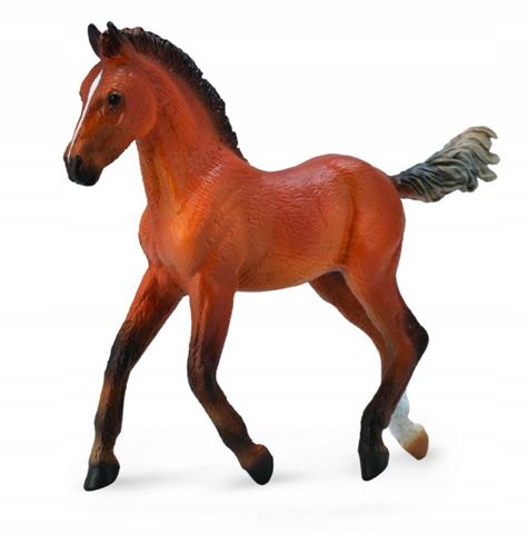 ŹREBIĘ RASY HANOWERSKIEJ 88734 COLLECTA