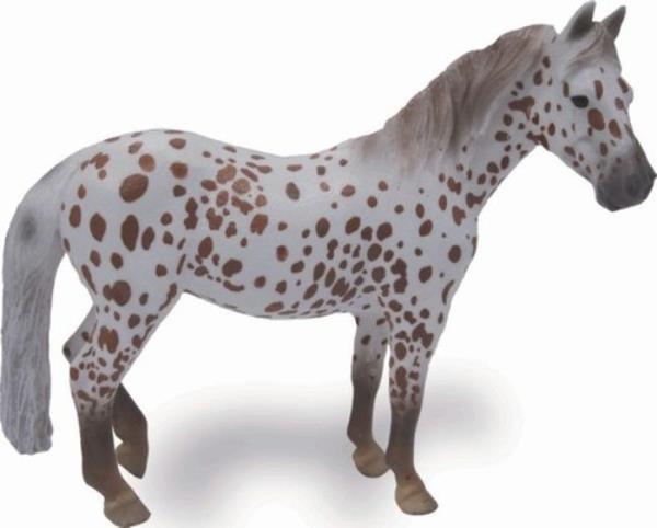 collecta klacz british spotted pony maści kasztan leopard 88750 dante