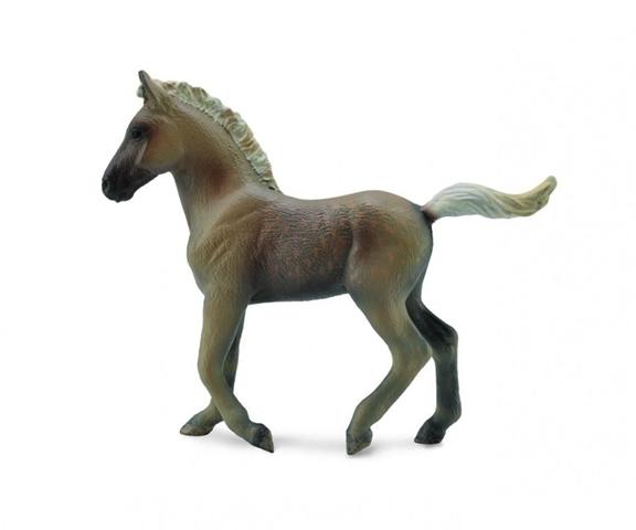 ŹREBIĘ RASY ROCKY MOUNTAIN (M) 88799 COLLECTA