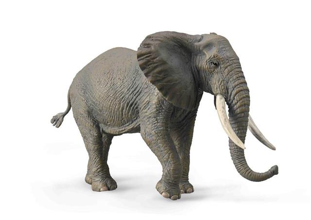 COLLECTA SŁOŃ AFRYKAŃSKI 88966  DANTE