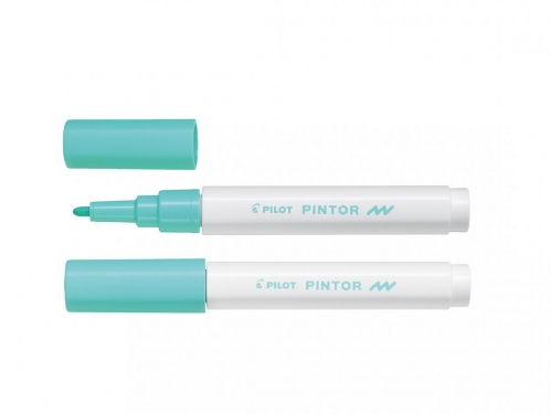 pilot-marker pintor f 1.0 pastelowy     zielony wpc