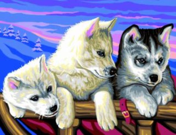 sequin art malowanie po numerach psy husky 39x30cm 1036