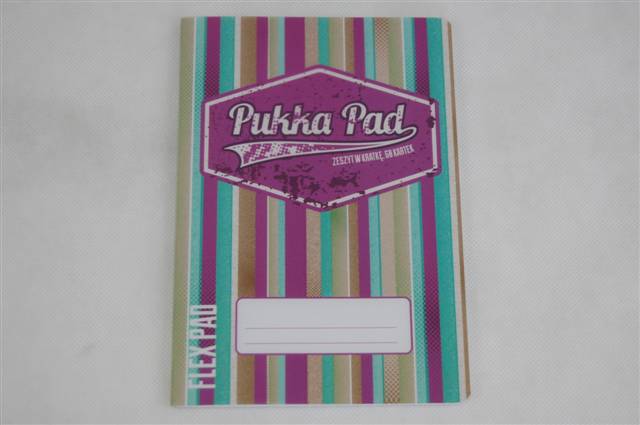 pukka zeszyt a5 60k kratka # flex pad amepink wpc