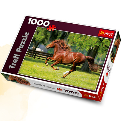 trefl puzzle 1000el nowy jork 10222