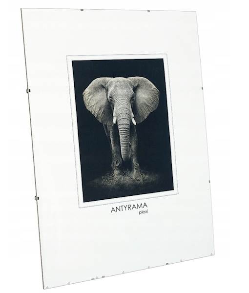 ANTYRAMA 21X29,7 PLEXA