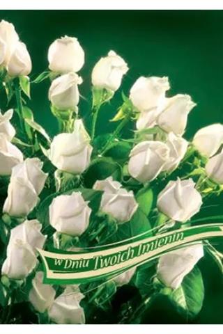 ART NUVO KARTKA B6 KARNET IMIENINY FF1213 /10/