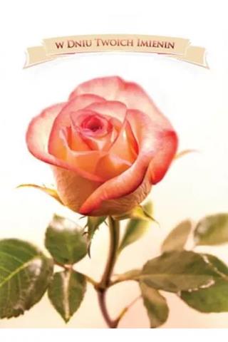 ART NUVO KARTKA B6 KARNET IMIENINY FF1272 /10/