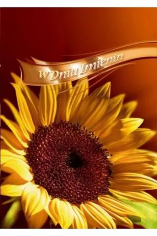 ART NUVO KARTKA B6 KARNET IMIENINY FF1211 /10/