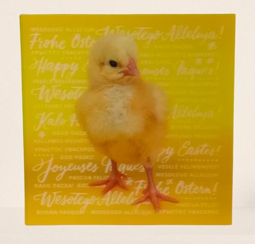 PAN DRAGON KARTKA OZDOBNA 3D WIELKANOC 3D-77