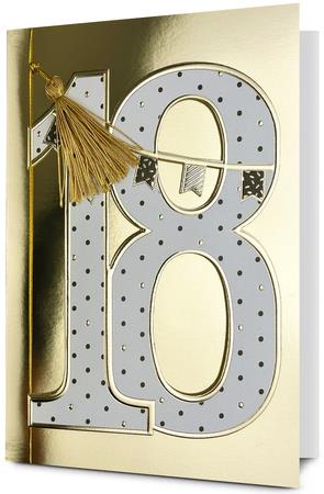 PAN DRAGON KARTKA OZDOBNA 18 URODZINY   HM200-3163