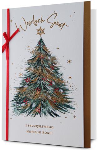 PAN DRAGON KARTKA OZDOBNA BN GWIAZDKA   HM200-3220