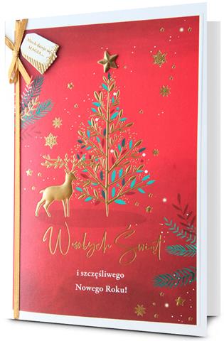 PAN DRAGON KARTKA OZDOBNA BN GWIAZDKA   HM200-3222