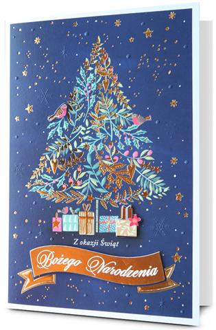 PAN DRAGON KARTKA OZDOBNA BN GWIAZDKA   HM200-3233