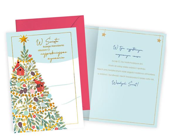 KUKARTKA KARTKA OZDOBNA BN GWIAZDKA PP-2246