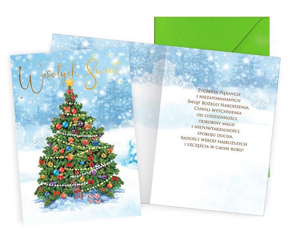 KUKARTKA KARTKA OZDOBNA BN GWIAZDKA PP-2262