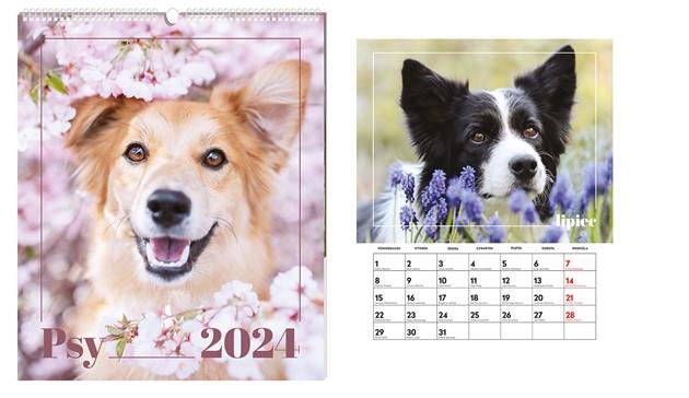 interdruk kalendarz 2024 ścienny planszowy33,5x40cm psy