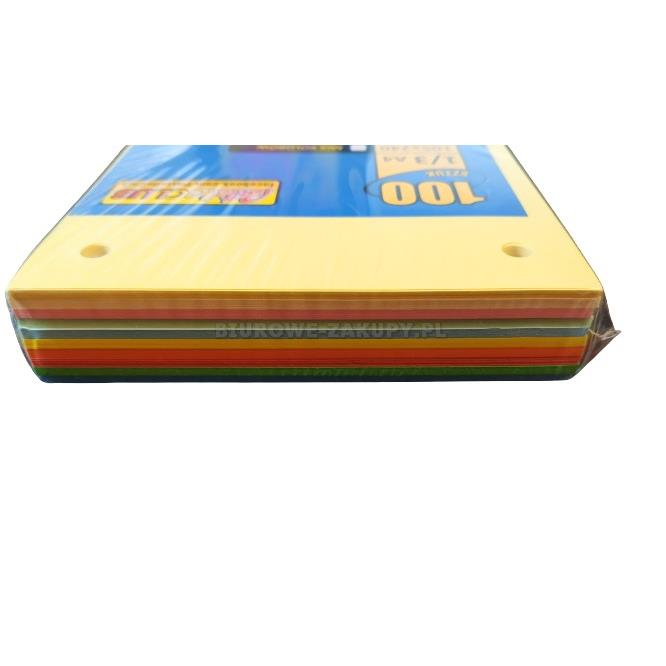 ALFA PRZEKŁADKI 1/3 A4 160G/M2 A'100 MIX10 KOLORÓW PASTELLO