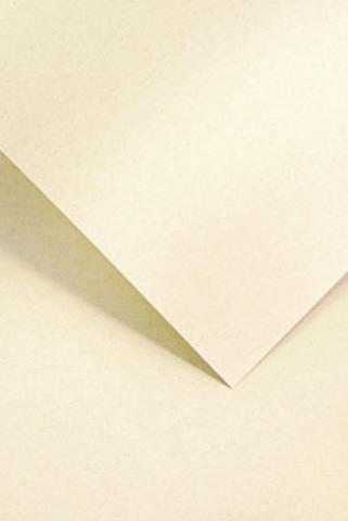 KARTON OZD.WIZYT.220/20 BEŻOWY NATURE   204756 ARGO