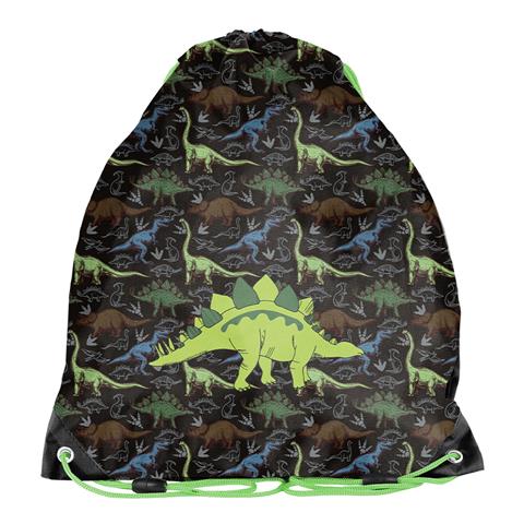 PASO-WOREK NA OBUWIE DINOZAUR PP26DR-712