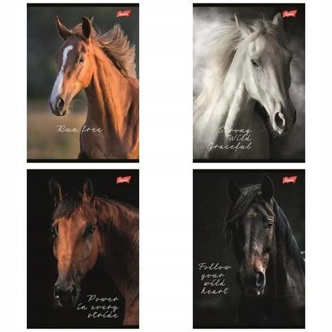 MAJEWSKI ZESZYT A5 60K LINIA = LAMINOWANY HORSES /10/