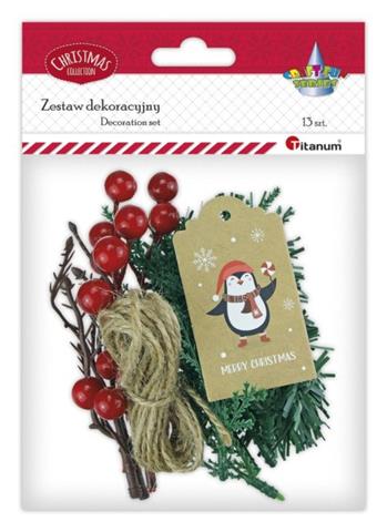 TITANUM ZESTAW DEKOR.BN 25YX0514-6