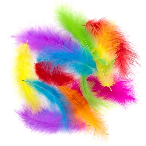 DP CRAFT PIÓRA INDYCZE 10-15 CM, 30 SZT.BRIGHTS