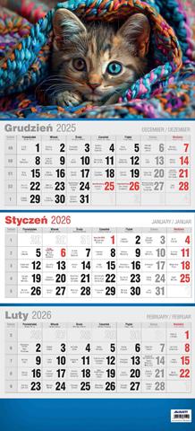 AVANTI KALENDARZ 2026 TRÓJDZIELNY 3D MIX WZORÓW KTT-3D