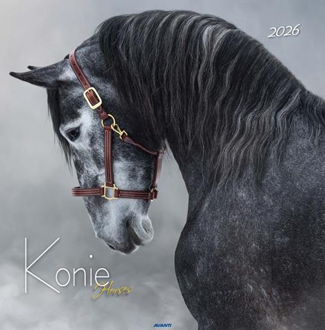 AVANTI KALENDARZ 2026 KONIE KD-22
