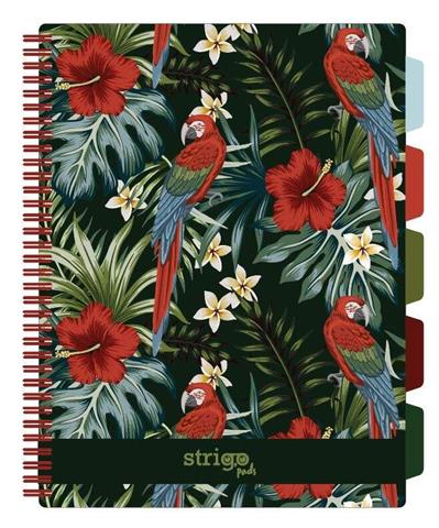 STRIGO KOŁOZESZYT PROJECT BOOK A4 TROPIKI-MAŁPKI 100K KRATKA 80G/M2 WPC