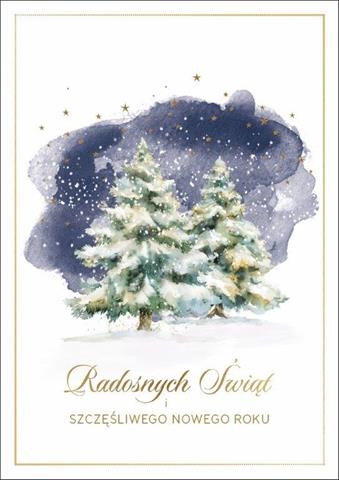 ART NUVO KARTKA GWIAZDKA ZŁOCONO TŁOCZONY BN 6111 BN GWIAZDKA /10/