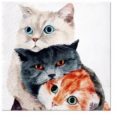 PAW-SERWETKI 33X33 CM BETTER TOGETHER A'20 SDL131500